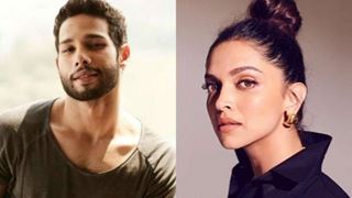 Deepika Leaves a Cheeky Comment on Siddhanth's post; Actor Reacts in a Classy Way