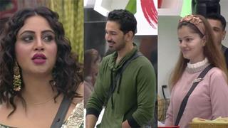 Bigg Boss 14: Arshi Khan feels Devoleena should've been evicted, Calls Aly, Rahul, Rubina and Abhinav best friends