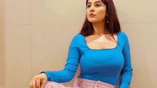 Shehnaaz Gill feels all her wishes have come true after working with Diljit and Badshah