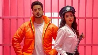 Jasmin Bhasin is all praises for having Aly Goni as co-star in music video