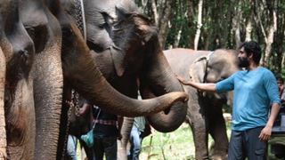 "The elephant will never give a wrong reaction": Rana Daggubati on building a bond with Elephants Thumbnail