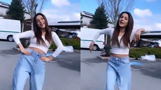 Bigg Boss 13 contestant Shehnaaz Gill's latetst dance video has fans wanting for more