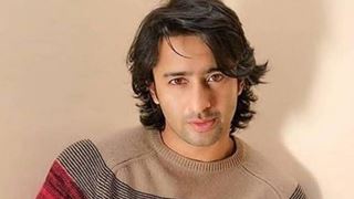 Shaheer Sheikh: I thought I was a balanced man but the crisis has affected me, tricky time for mental health