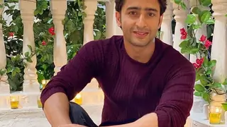 Shaheer Sheikh on World Doctor's Day: A doctor’s hard work is something to be grateful for Thumbnail