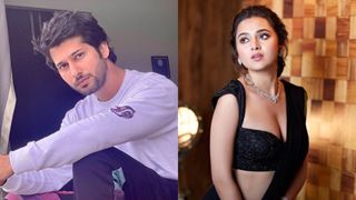 Tejasswi has always been entertaining; she should make alliance with Vishal: Namish Taneja from Swaragini