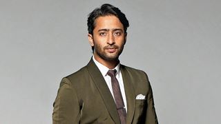 Shaheer Sheikh: I agree the third season fell short of people's expectations, but we tried to make it work