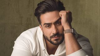 Aly Goni, "I have been getting a lot of offers but I won't do anything"