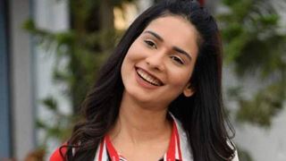 Anupamaa: Here's what will be Aneri Vajani's role