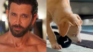 Hrithik Roshan introduces his new pet Mowgli on Instagram, B-townies shower their love on him