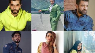 World Hindi Day: Celebs share how the industry can promote Hindi more