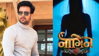 Ashish Trivedi roped in for Naagin 6 thumbnail