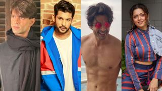 Karan Singh Grover to Sidharth Shukla, Gashmeer Mahajani and Drashti Dhami; actors who left TV shows mid-way Thumbnail