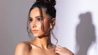 Shibani Dandekar slams pregnancy rumours like a boss, says 'I am not pregnant. It was tequila' Thumbnail