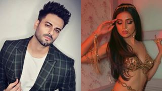 Abeer Singh Godhwani aka Karan Godhwani to enter Colors' show 'Naagin 6'?