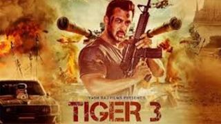 Salman Khan turns action director for Katrina Kaif in Tiger 3