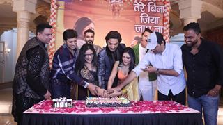 I’m speechless seeing the love from fans: Avinesh Rekhi is ecstatic as 'Tere Bina Jiya Jaye Na' hits a ton thumbnail