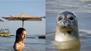 Disha Patani compares herself with a seal in recent pictures 