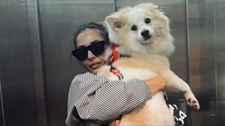 Malaika Arora shares a cute selfie as she does her mommy duties with her paw-pal Casper