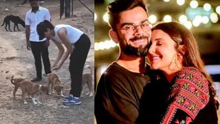 Anushka and Virat's super paw-dorable videos rule the cricketer's gallery