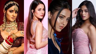 Celebrity Ranking: Ayesha Singh enters the list; Shehnaaz, Tejasswi and Jannat sustain positions