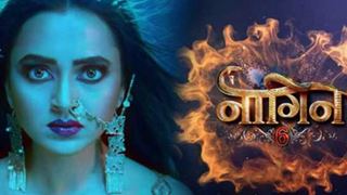 'Naagin 6' to take a 20 year leap; gets an extension till December