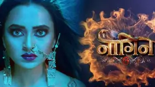 'Naagin 6' to take a 20 year leap; gets an extension till December Thumbnail