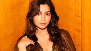 Alia Bhatt teaches the right way to nail a metallic maternity gown; Pic