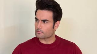 Vivian Dsena: It's only recently that mental health is given importance