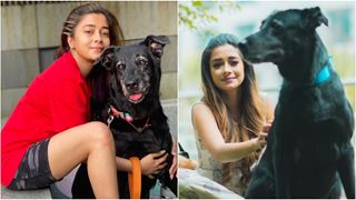Bigg Boss 16: Tina Datta breaksdown on losing her pet dog Rani; regrets not being there for her last rites