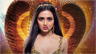 Naagin 6 gets further extension; to go off-air in January 2023 Thumbnail
