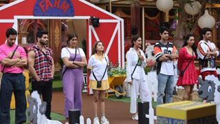 Bigg Boss 16: Smoking Zone banned in the house 
