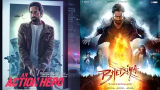 Jhalak Dikhhla Jaa 10: 'An Action Hero' & 'Bhediya' cast to grace the finale of the season
