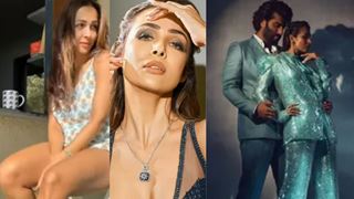 Malaika Arora offers a sneak -peek at her 2022 with 60 photos; Arjun Kapoor is a constant with her glam snaps 