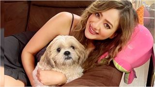‘Anupamaa’ actress Madalsa Sharma reveals father-in-law Mithun Chakroborty’s love for dogs