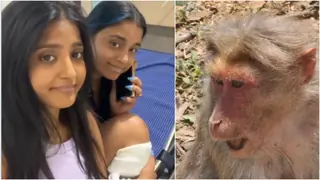 Sumbul Touqeer gets bitten by a monkey; gets hospitalized while on her trip with Ulka Gupta Thumbnail