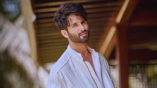 Shahid Kapoor's reign continues with a stellar lineup; new action thriller ahead: Reports