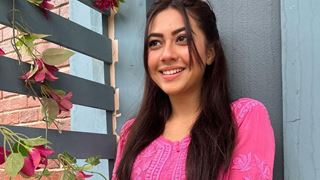 Lets just hope and pray for a season 2: Reem Sameer on Tere Ishq Mein Ghayal going off air