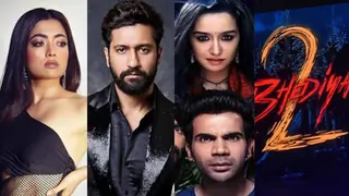 From 'Bhediya 2' to 'Stree 2' to Vicky-Rashmika starrer: 15 upcoming movies by Maddock Films to look at thumbnail