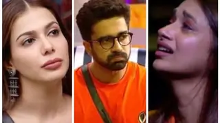 Avinash & Jiya behaved like 'Chugli Chachis': Palak Purswani on her encounter with Avinash & Jiya in BB OTT 2 Thumbnail