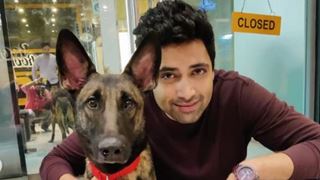 Adivi Sesh mourns loss of beloved co-star and fur friend Sasha; pens a heartfelt note 