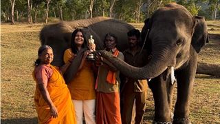 Bomman & Bellie from 'The Elephant Whisperers''seek Rs 2 crore from filmmaker  Kartiki Gonsalves