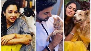 Beyond the Limelight: Rupali Ganguly to Aakash Ahuja, TV favorites in the world of animal welfare