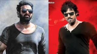 "Can't wait for 'Salaar'" - Prabhas fans say as his popular film, 'Rebel' completes 11 years