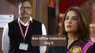 Box Office Update: 'Fukrey 3' soars past 50 crores while 'The Vaccine War' struggles on day 5 thumbnail