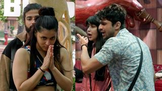 Bigg Boss 17: Fiery Face-Off: It's Abhishek v/s Khanzaadi and Ankita v/s Mannara