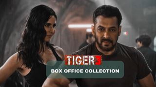 Salman Khan's 'Tiger 3' roars past Rs 100 Crore milestone at the box office in just two days