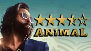 Review: If you thought 'Kabir Singh' was controversial, make way for 'Animal' & just how polarising it will be Thumbnail
