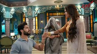 Imlie: Agastya proposes to Imlie, Meera's truth ruins it 