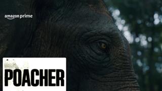 Unveiling the ruthless trade: 'Poacher' series exposes India's largest ivory ring