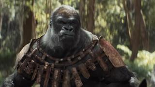 'Kingdom of the Planet of the Apes' teases with a sneak peek into their world